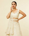 Dark Cream Floral Patterned Lehenga with Mirror work image number 1